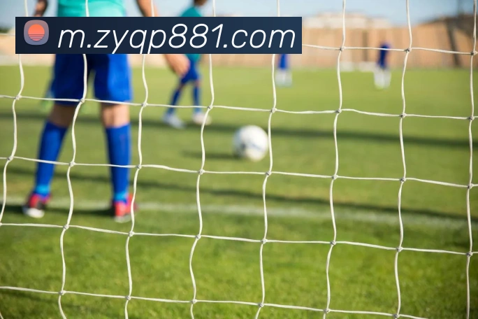 平台展示图